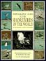 Photographic Guide to the Shorebirds of the World