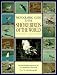 Photographic Guide to the Shorebirds of the World