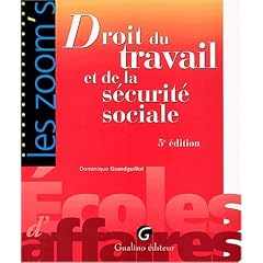 Zoom's Droit travail et s�curit� sociale, 5e �dition