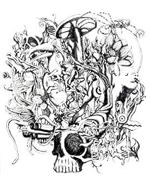 anima(DVD付)