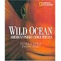 Wild Ocean