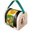 Critter Cabin Bug House