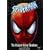 Spider-Man - The Ultimate Villain Showdown (Animated Series)