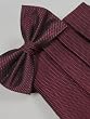 Freedom "Wine" Silk Woven Tuxedo Bowtie and Cummerbund Set Freedom "Wine" Silk Woven Tuxedo Bowtie and Cummerbund Set