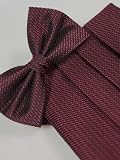 Freedom Wine Silk Woven Tuxedo Bowtie and Cummerbund Set