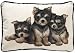 yorkshire terrier - Yorkshire Terrier (Yorkie) Puppy Dog Breed Decorative Pillow - Gift for Dog Lover