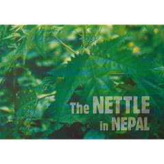 The Nettle in Nepal: Tradition and Innovation
