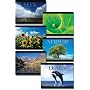 Motivational Cheap Chart Six Pack (Cheap Charts)