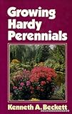 Growing hardy perennials
