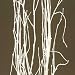 White Birch Branches