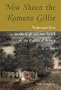 Now Shoon the Romano Gillie: Traditional Verse in the High and Low Speech of the Gypsies of Britain (University of Wales - Pocket Guide)