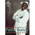 Live in the UK Alive in Cuba by Felix Baloy & The Afro-Cuban All Stars