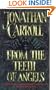 From the Teeth of Angels