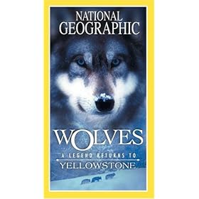 Wolves - A Legend Returns to Yellowstone [VHS]