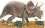 Dinosaur Board Books: Triceratops