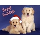 Pet Star Interfaith Cards - Golden Retrievers by  Pet Star Photography