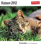 Produkt-Bild: Katzen 2012: 53 Postkarten