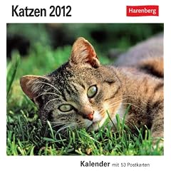 Katzen 2012: 53 Postkarten