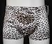 Shiny Leopard Fitted Pouch Swim Shorts