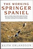 The Working Springer Spaniel