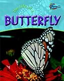 The life of a butterfly