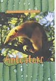 Anteaters (Animals of the Rainforest)