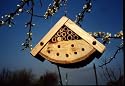 Wildlife World Bug Box Beneficial Insect Habitat BB2
