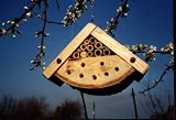 Wildlife World Bug Box Beneficial Insect Habitat BB2