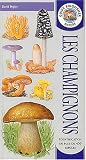 Les champignons