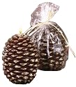 Grasslands Road Cabin Fever Pine Cone Candle