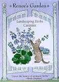 Catmint Seeds