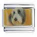 Bearded Collie Dog Gift Italian Charm
