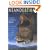 Neanderthal: Neanderthal Man and the Story of Human Origins