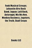 Funk Musical Groups: Lafayette Afro Rock Band, Jaguar, Laid Back, Antaragni, Wa Wa Nee, Monkey Business, Jagatara, the Truth, Skull Snaps-