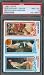 1980 Topps Larry Bird Rookie Basketball Card Boston Celtics #31, 198, 228 PSA 8 NM-MT