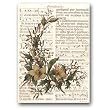 Gregorian Chant with Sepia Holly - 5" x 7" Vellum Overlay Christmas Greeting Card