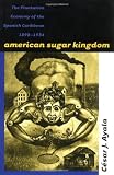 Sweetness and Power: The Place of Sugar in Modern History