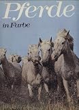 Produkt-Bild: Pferde in Farbe