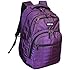 Kenneth Cole Reaction 17" Travel Laptop Backpack - School Bag Purple