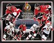 Ottawa Senators 11X14 Plaque - Nhlpa Players W/Arena