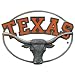 Texas Longhorns NCAA Hitch Cover (Class 3)