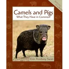 Camels and Pigs (Animals in Order)