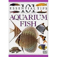 Aquarium Fish (101 Essential Tips)