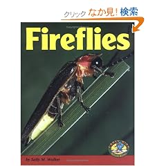 Fireflies (Early Bird Nature Books)