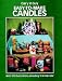 Easy-to-Make Candles by Gary V. Guy ISBN 0486238814