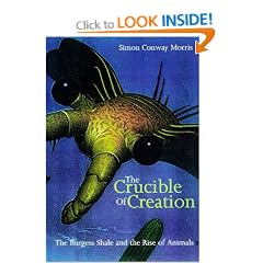 The Crucible of Creation: The Burgess Shale and the Rise of the Animals