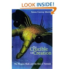 The Crucible of Creation: The Burgess Shale and the Rise of the Animals