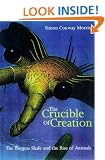 The Crucible of Creation: The Burgess Shale and the Rise of the Animals