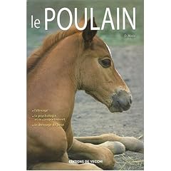 Le poulain