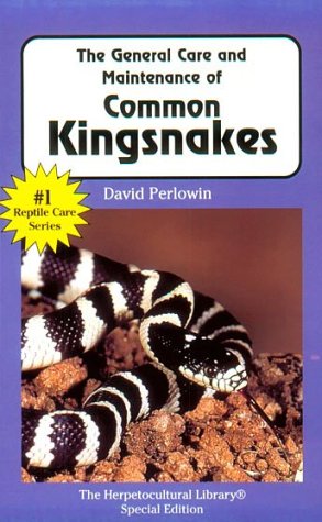 speckled king snake